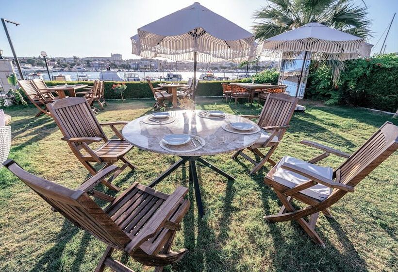 مبيت وإفطار Sun Paradise