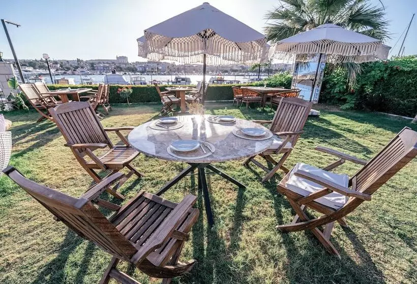 Aamiaismajoitus (B&B) Sun Paradise