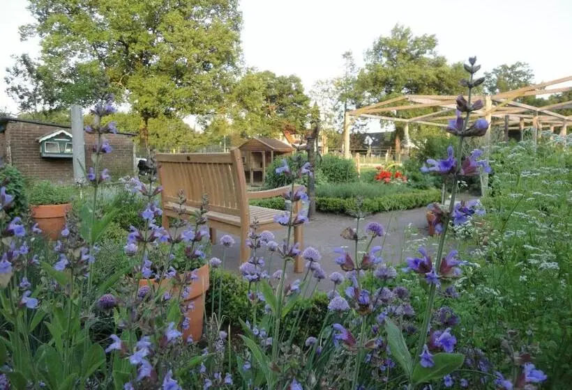 B&b De Willemshoeve