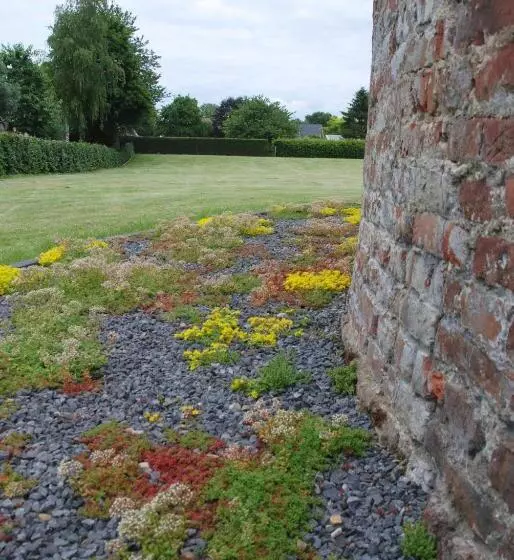 Bed And Breakfast De Meule Montfort
