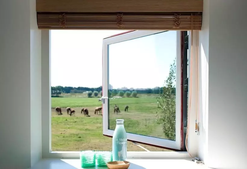 ベッドアンドブレックファースト Boutique Hotel Villa Oldenhoff