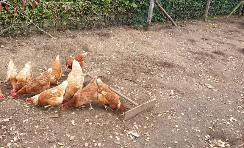 ベッドアンドブレックファースト Gastenverblijf Aan De Bagijnstraat