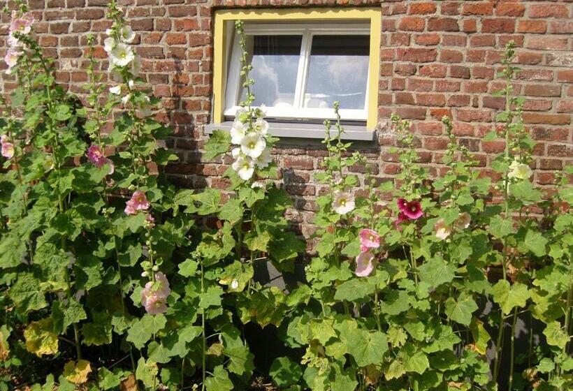 Bed & Breakfast Appeltern