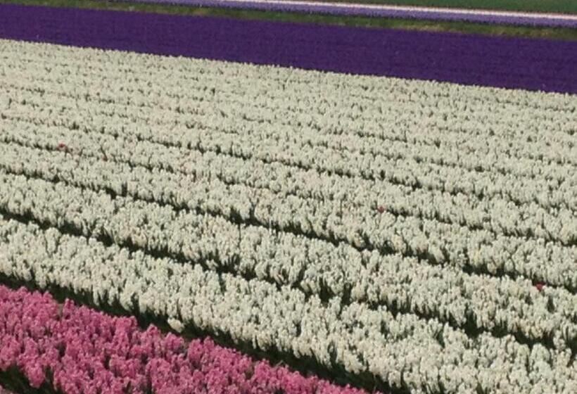 Bed & Breakfast De Vier Seizoenen