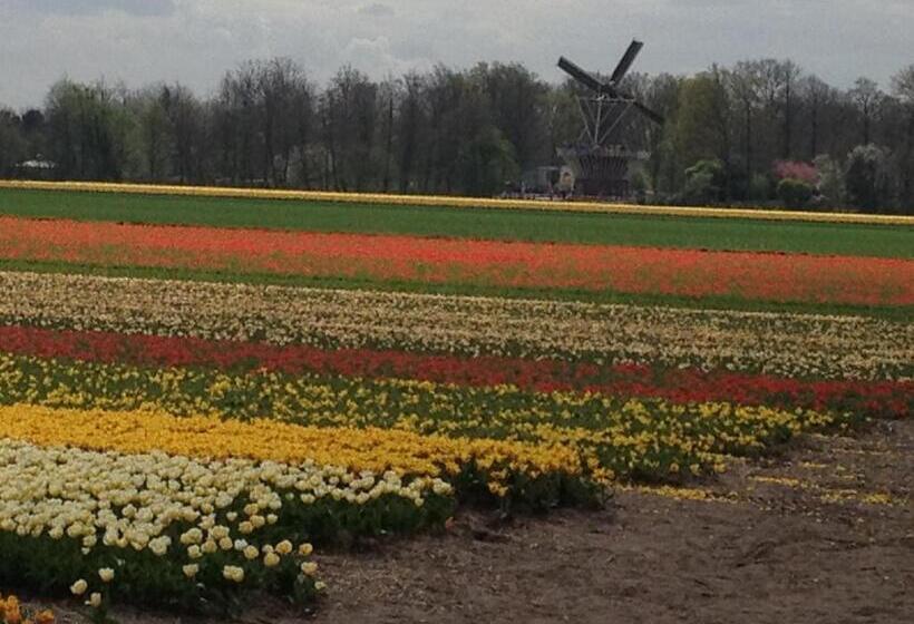 Bed & Breakfast De Vier Seizoenen