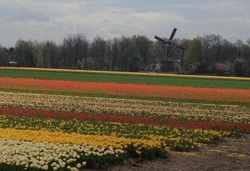 Bed & Breakfast De Vier Seizoenen