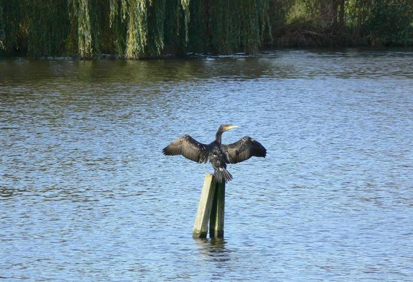 Bed & Breakfast Inndeberm