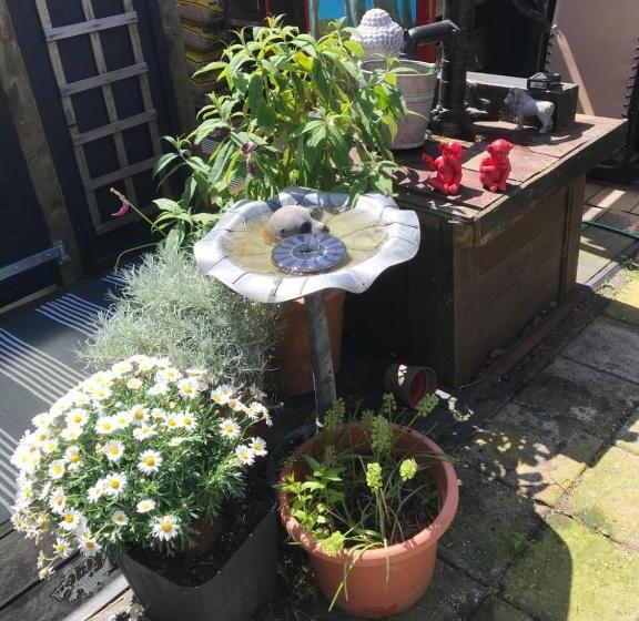 Bed & Breakfast Klokgaaf