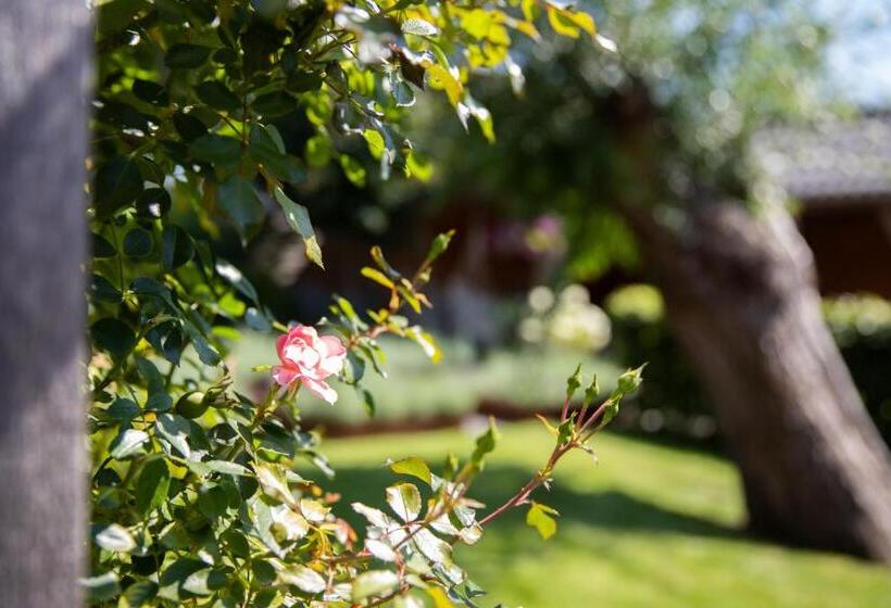 Bed & Breakfast Monument076 Etten Leur