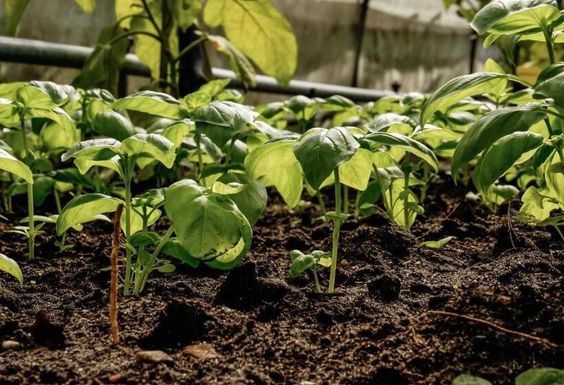 호텔 De Lochemse Berg