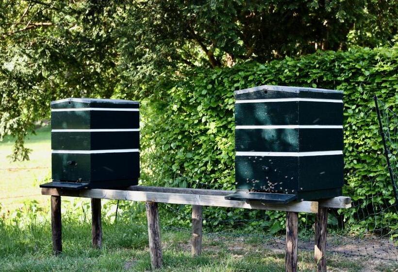 호텔 De Lochemse Berg