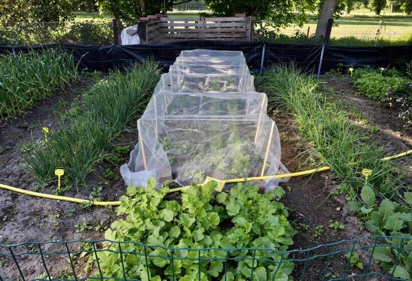 호텔 De Lochemse Berg