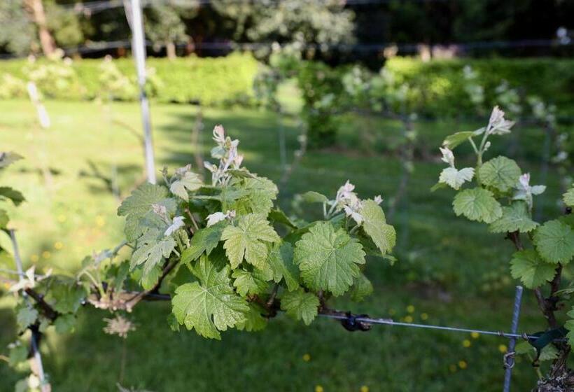 호텔 De Lochemse Berg