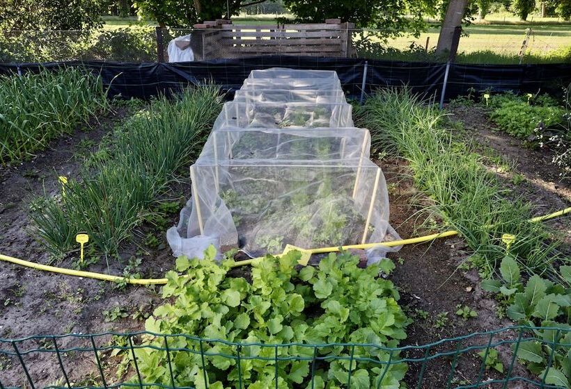 호텔 De Lochemse Berg