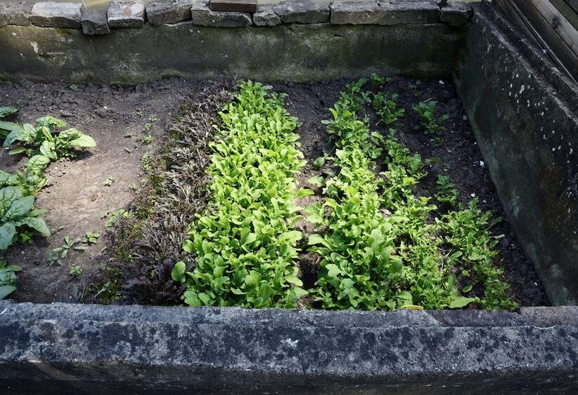 호텔 De Lochemse Berg