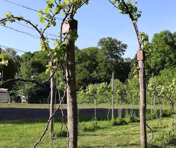 호텔 De Lochemse Berg