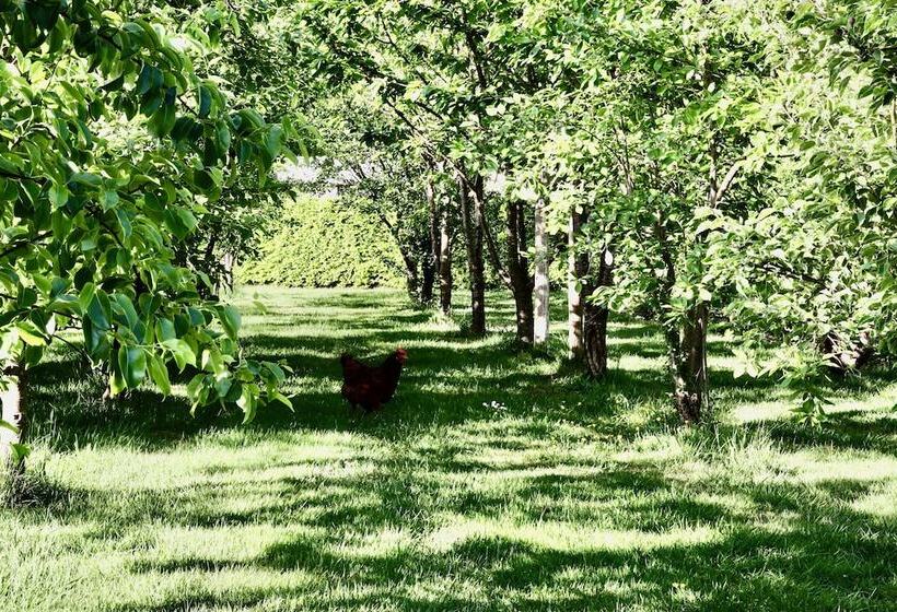 호텔 De Lochemse Berg