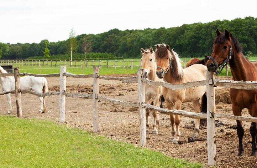 Hotel Restaurant D N Dries