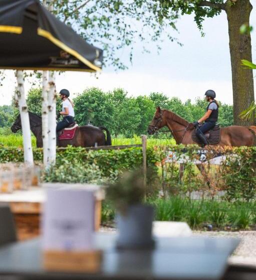 Hotel Restaurant D N Dries