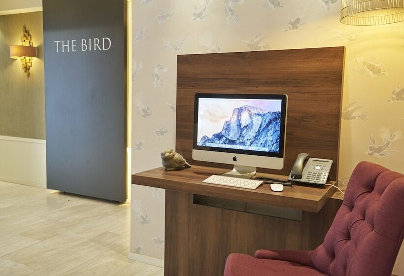 Hotel The Bird