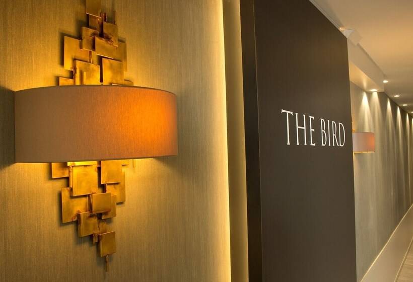 Hotel The Bird