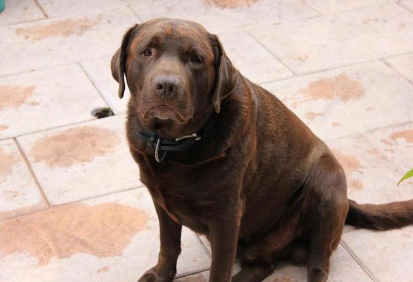 Kerstins Bed And Breakfast