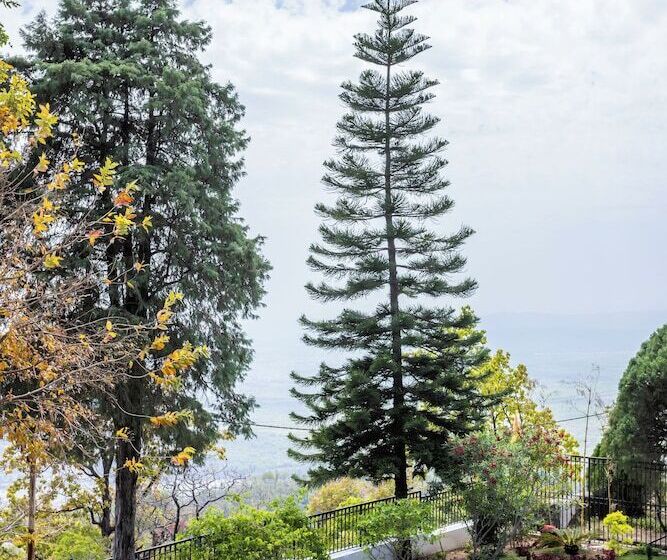 Hotel Kinwani House By Aalia Collection