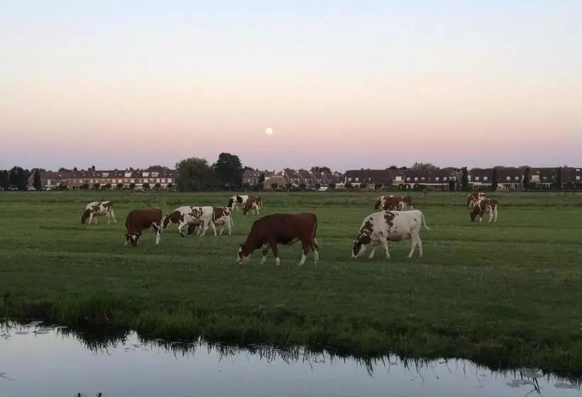 B&b Edam
