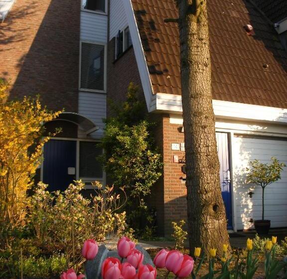 B&b Edam