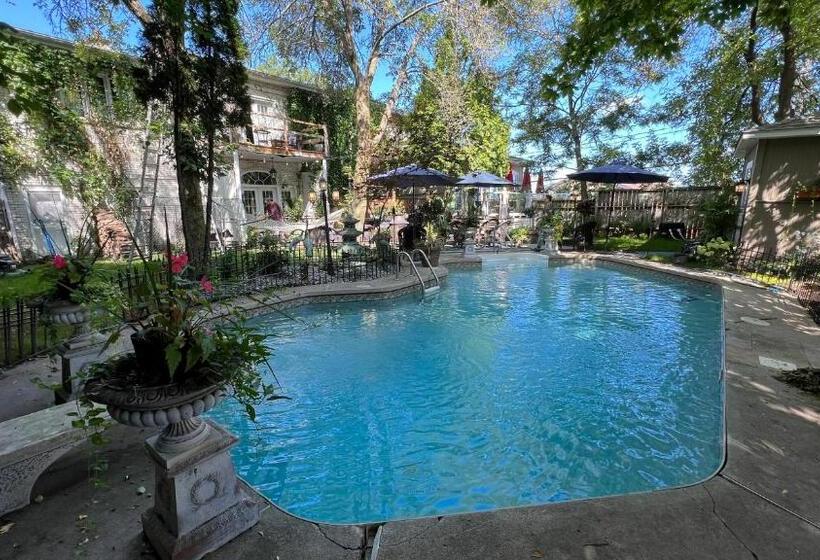 ベッドアンドブレックファースト Gîte Du Caméléon