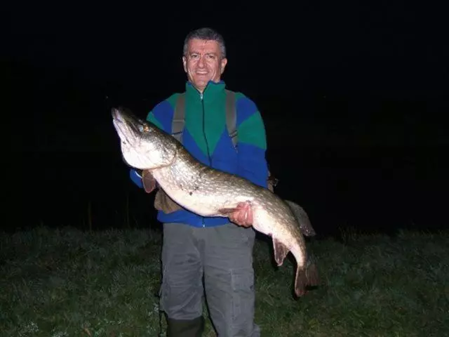 ホテル De Halve Maan