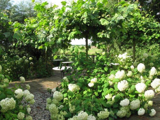 فندق T Wapen Van Middelie