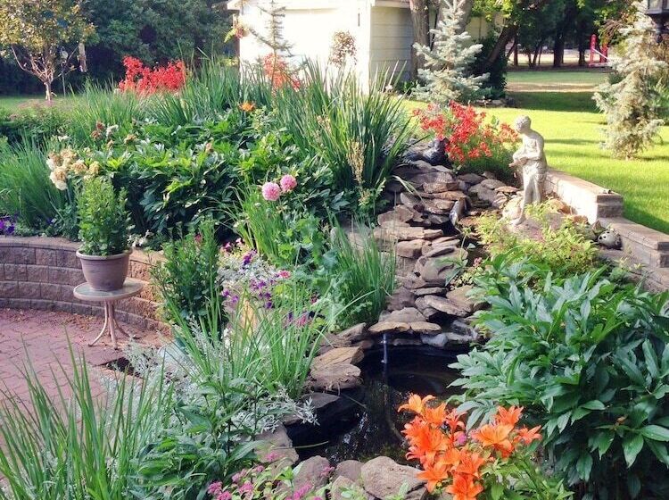 Mcdougall Lane Bed & Breakfast