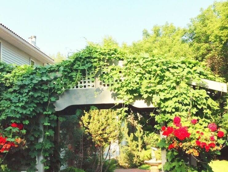 Mcdougall Lane Bed & Breakfast