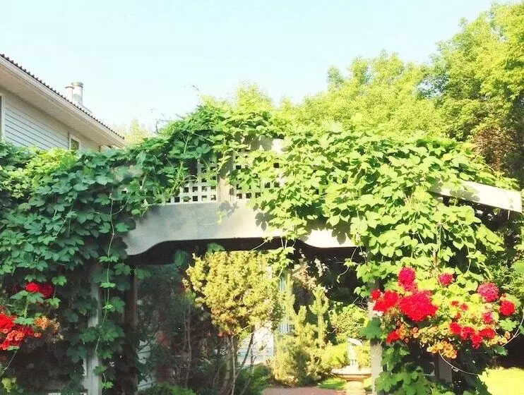 Mcdougall Lane Bed & Breakfast