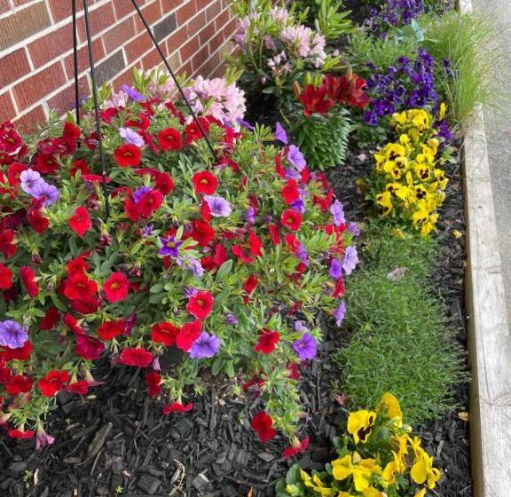 מוטל Winsome Inn