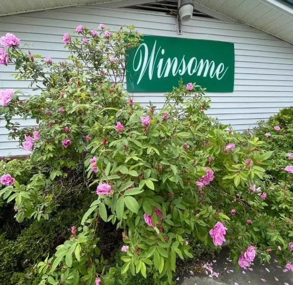 モーテル Winsome Inn