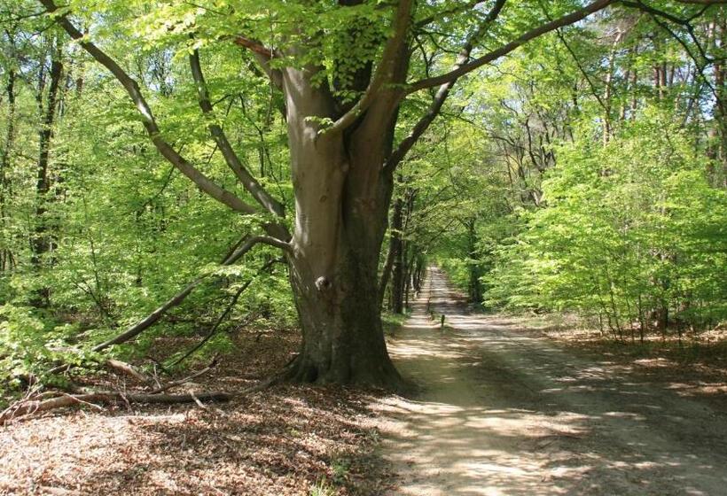 Stadshotel Ootmarsum