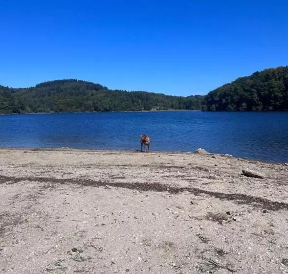 Aamiaismajoitus (B&B) Le Cantou