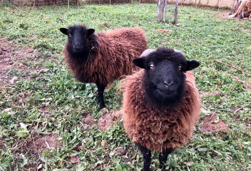 צימר Chambres D Hôtes Oihanetxeberria