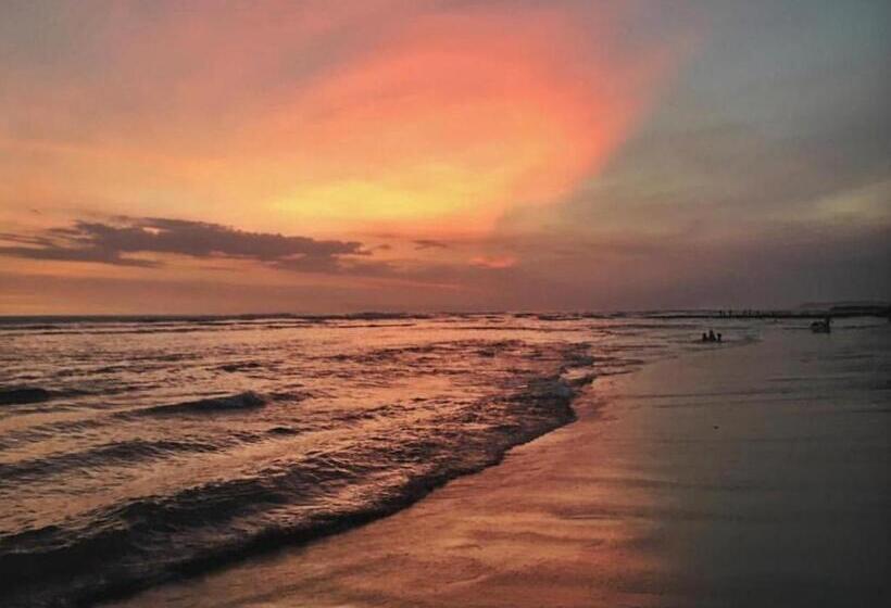 Phoenix Bed And Breakfast 9