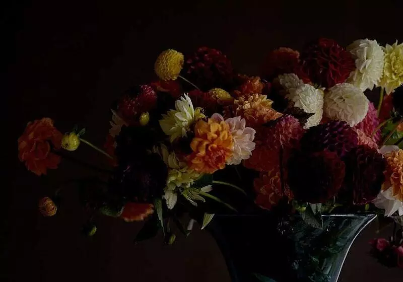 ホテル Villa Dahlia