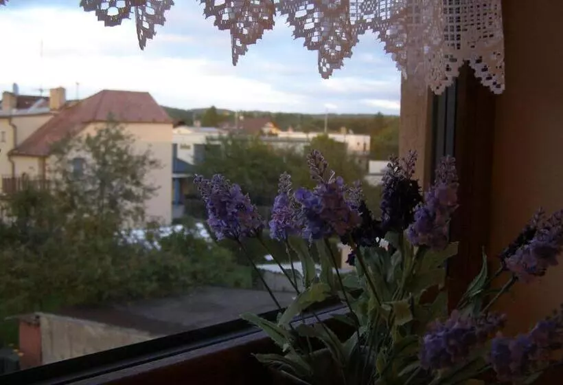 پانسیون Penzion Pohůrka
