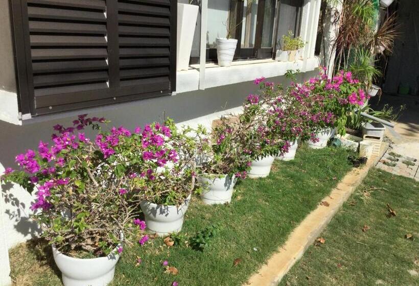 호스텔 Minshuku Zabaru