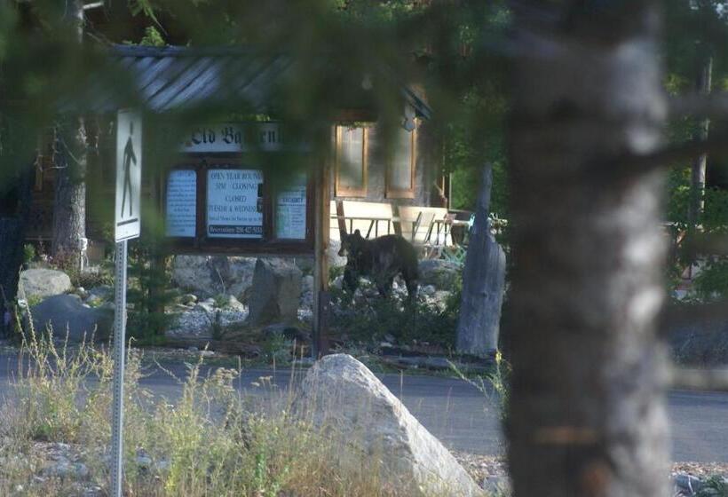 Alpenglow Bed And Breakfast