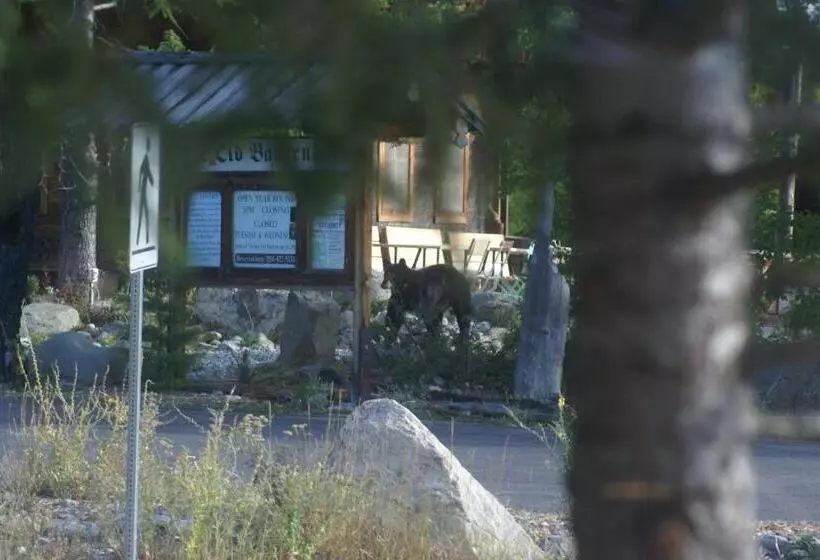 Alpenglow Bed And Breakfast