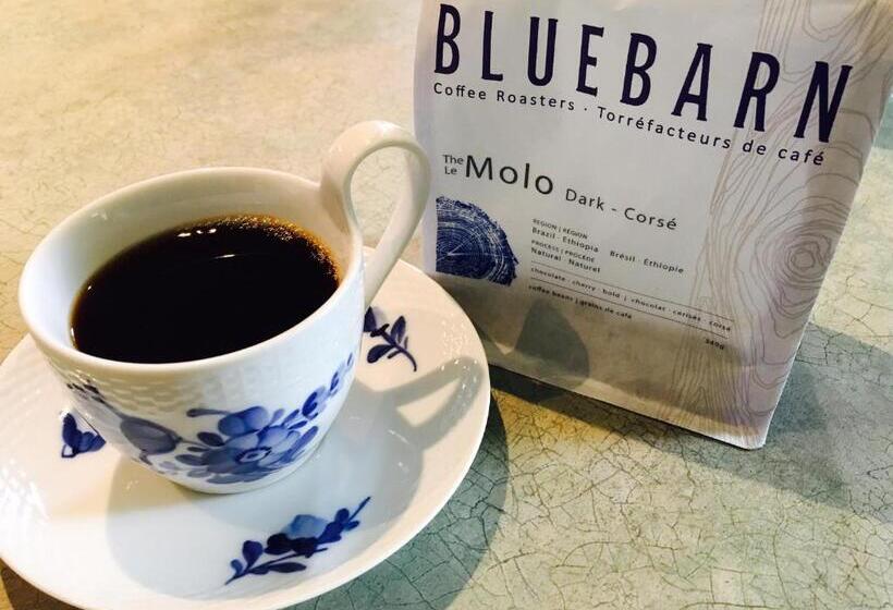 Auberge De Mon Petit Chum B&b