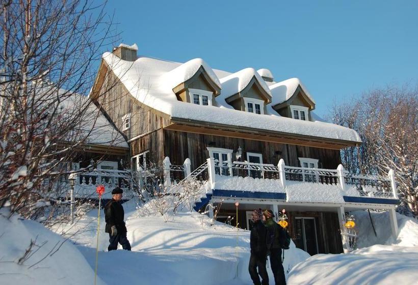 Bed and Breakfast Gite Noble Queteux