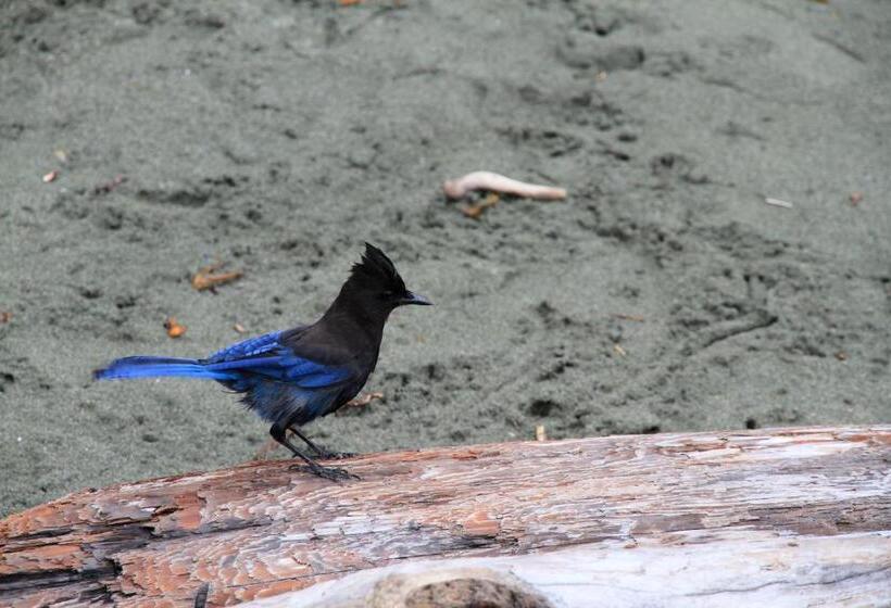 مبيت وإفطار Moon And Sixpence