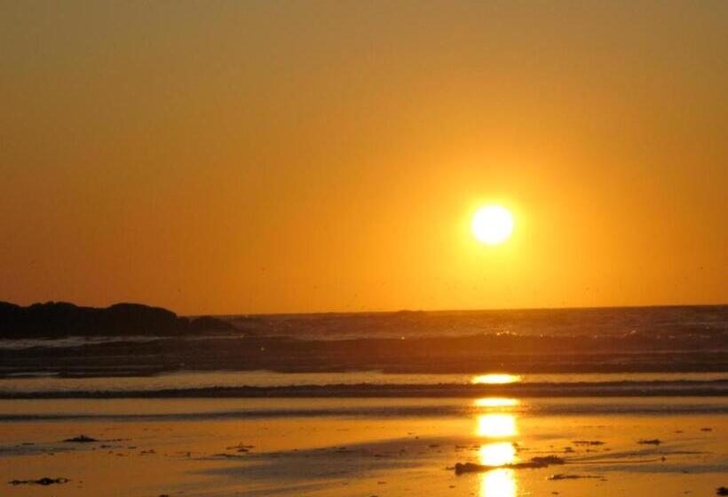 مبيت وإفطار Moon And Sixpence